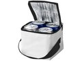 Tromso 4 can cooler bag