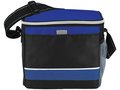 Levi sport cooler bag