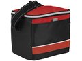 Levi sport cooler bag 12