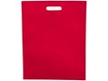 The Freedom Heat Seal Exhibition Tote 6