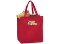 Zeus Insulated Grocery Tote 16