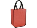 Acolla Small Laminated Shopper Tote 11