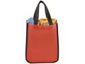 Acolla Small Laminated Shopper Tote 10