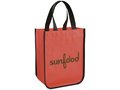 Acolla Small Laminated Shopper Tote 13