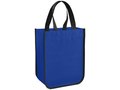 Acolla Small Laminated Shopper Tote 7