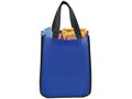 Acolla Small Laminated Shopper Tote 6