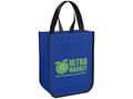 Acolla Small Laminated Shopper Tote 8