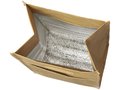 Brown Paper Bag Cooler 1