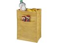 Big Clover paper lunch cooler bag 4