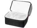 Dual cube lunch cooler bag 5