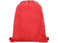 Oriole mesh drawstring backpack 18