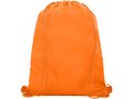 Oriole mesh drawstring backpack 32
