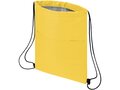 Oriole 12-can drawstring cooler bag 24