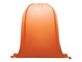 Oriole gradient drawstring backpack 13