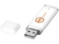 Flat USB 2GB 6