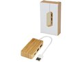 Tapas bamboo USB hub 5