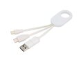 Troop 4-in-1 recycled plastic charging cable