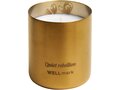Wellmark scented candle 8