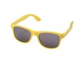 Sun Ray rPET sunglasses 5