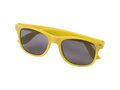 Sun Ray rPET sunglasses 8
