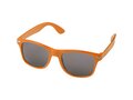 Sun Ray rPET sunglasses 13