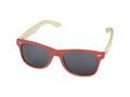 Sun Ray bamboo sunglasses 1