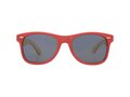 Sun Ray bamboo sunglasses 4