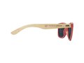 Sun Ray bamboo sunglasses 2