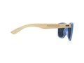 Sun Ray bamboo sunglasses 8