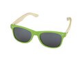 Sun Ray bamboo sunglasses 11