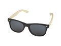 Sun Ray bamboo sunglasses