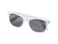 Sun Ray ocean plastic sunglasses 3