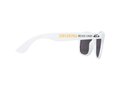 Sun Ray ocean plastic sunglasses 1