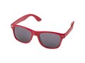 Sun Ray ocean plastic sunglasses 4