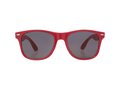 Sun Ray ocean plastic sunglasses 6