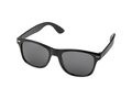 Sun Ray ocean plastic sunglasses 12