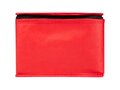 Spectrum 6-can recycled non-woven cooler bag 4L 7