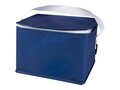 Spectrum 6-can recycled non-woven cooler bag 4L 14