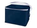 Spectrum 6-can recycled non-woven cooler bag 4L 19