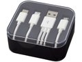 Tril 3-in-1 Charging Cable in Case 4