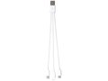 Tril 3-in-1 Charging Cable in Case 2