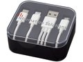 Tril 3-in-1 Charging Cable in Case 10