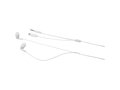 Switch earbuds with multi tips 5