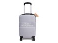 Cabin Size RPET Square Trolley 4