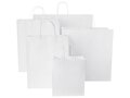 Kraft 80 g/m2 paper bag with twisted handles - medium 5