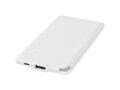 WS119 4000 mAh powerbank