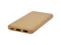 Eco powerbank 10000 mAh