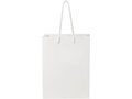 Handmade integra paper bag with plastic handles - medium 2