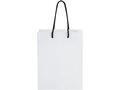 Handmade integra paper bag with plastic handles - medium 10