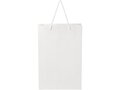 Handmade integra paper bag with plastic handles - large 2